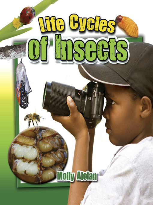 Title details for Life Cycles of Insects by Molly Aloian - Available